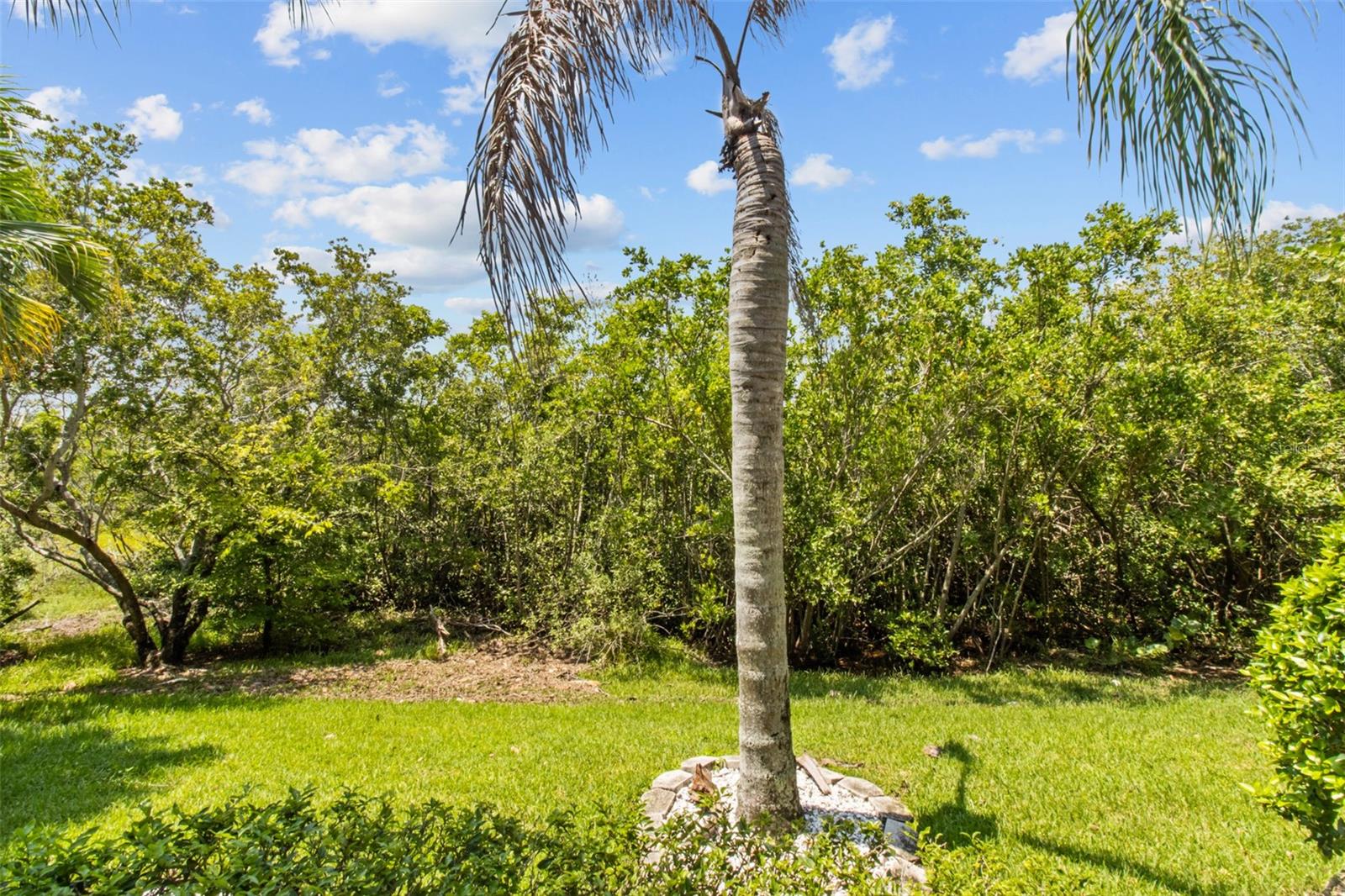 4336 SPINNAKER COVE LN, TAMPA, FL, 33615
