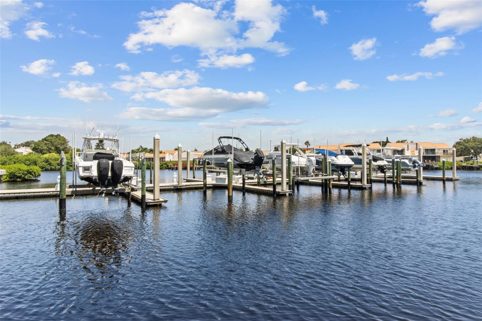 4336 SPINNAKER COVE LN, TAMPA, FL, 33615