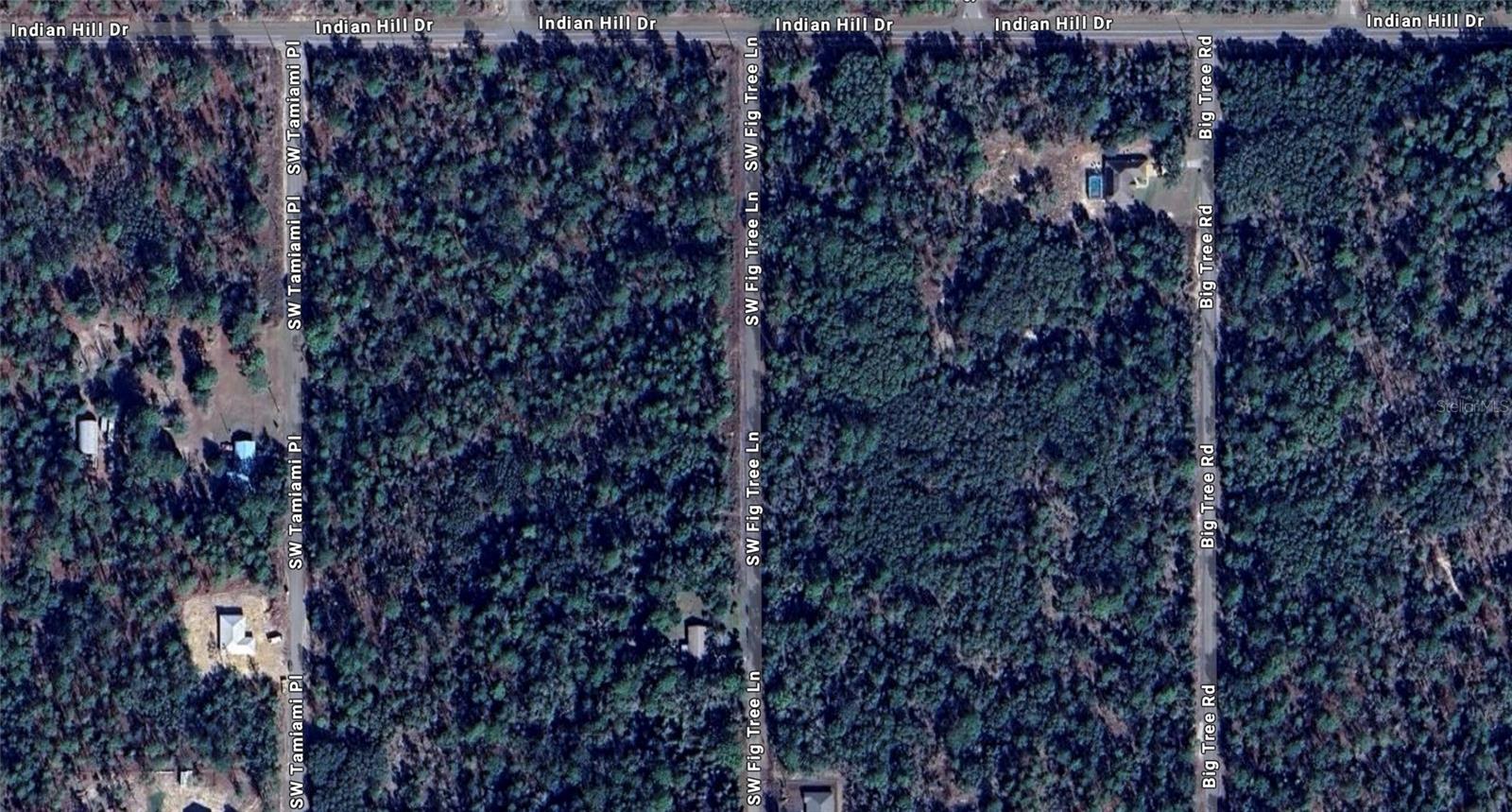 FIG TREE LN, DUNNELLON, FL, 34431