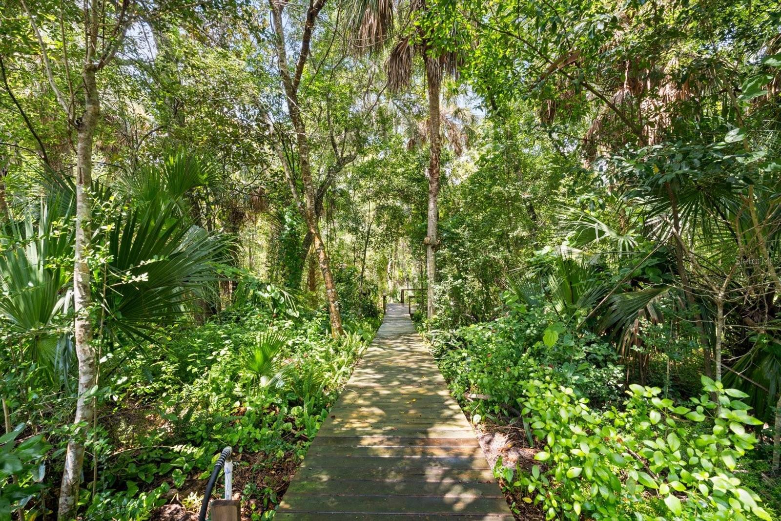 204 RIVER BLUFF DR, ORMOND BEACH, FL, 32174