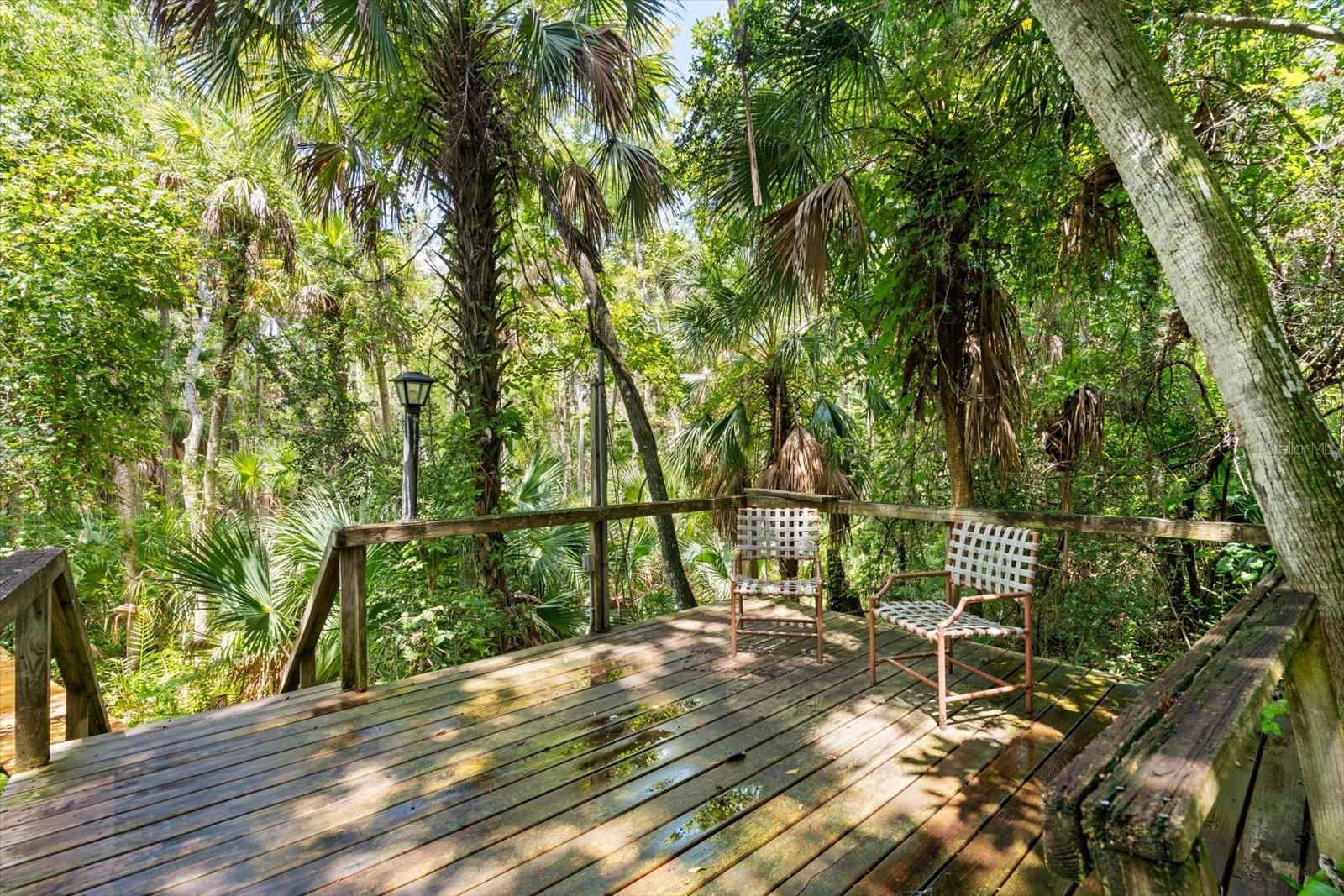 204 RIVER BLUFF DR, ORMOND BEACH, FL, 32174