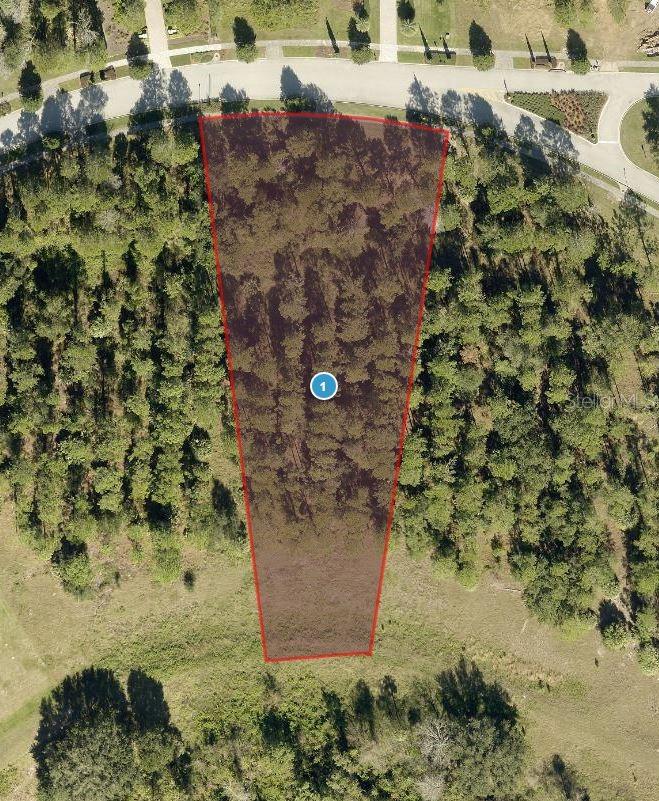 16023 PENDIO DR, BELLA COLLINA, FL, 34756