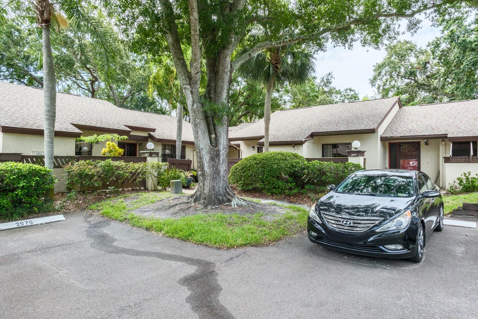 2973 ELDER CT, PALM HARBOR, FL, 34684