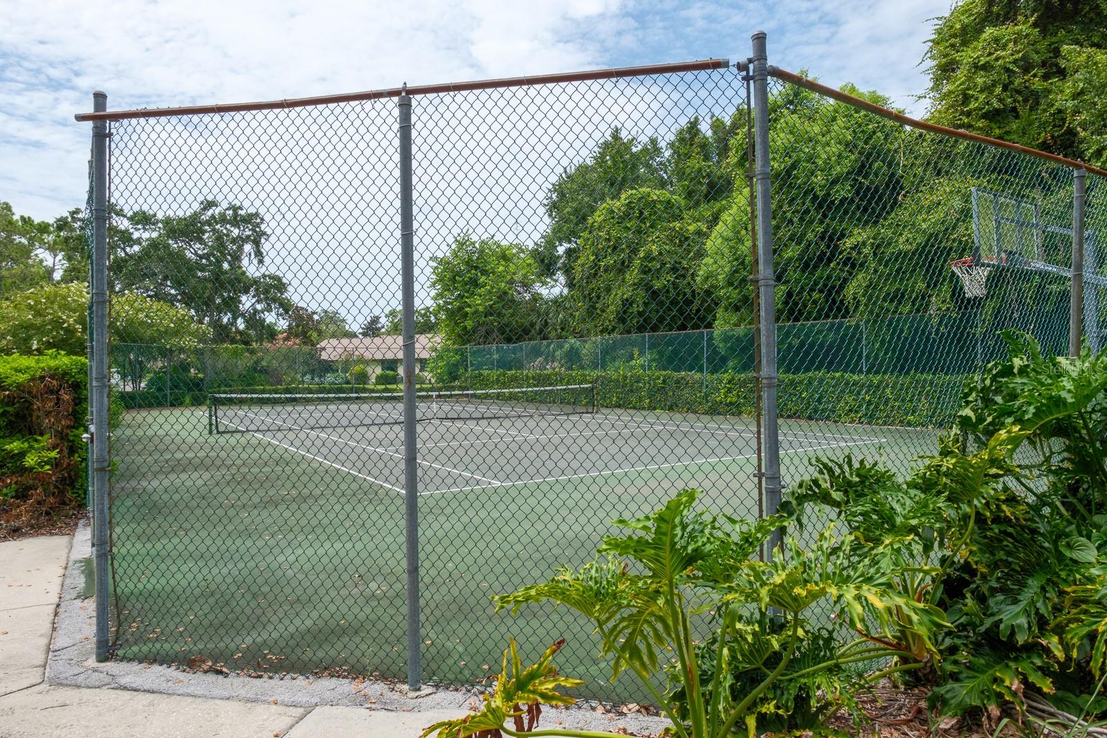 2973 ELDER CT, PALM HARBOR, FL, 34684