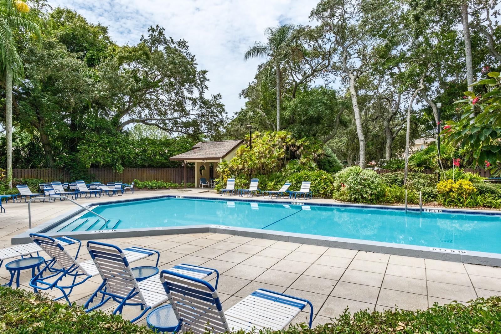 2973 ELDER CT, PALM HARBOR, FL, 34684