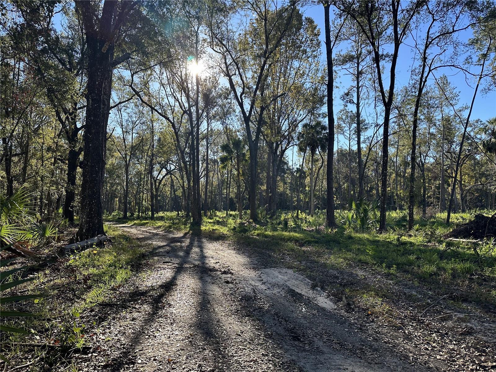 225ac NW 193RD ST, REDDICK, FL, 32686