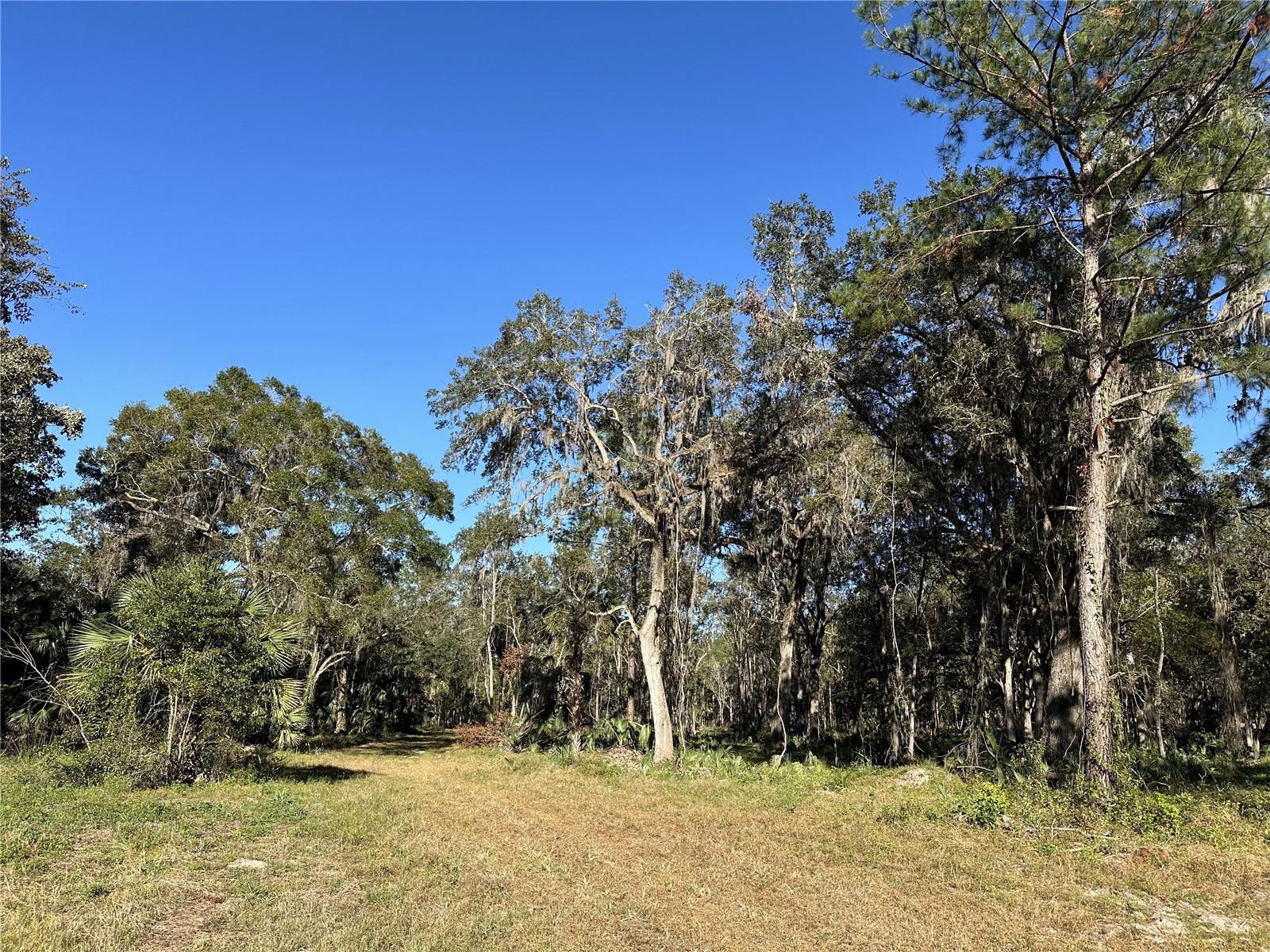 225ac NW 193RD ST, REDDICK, FL, 32686