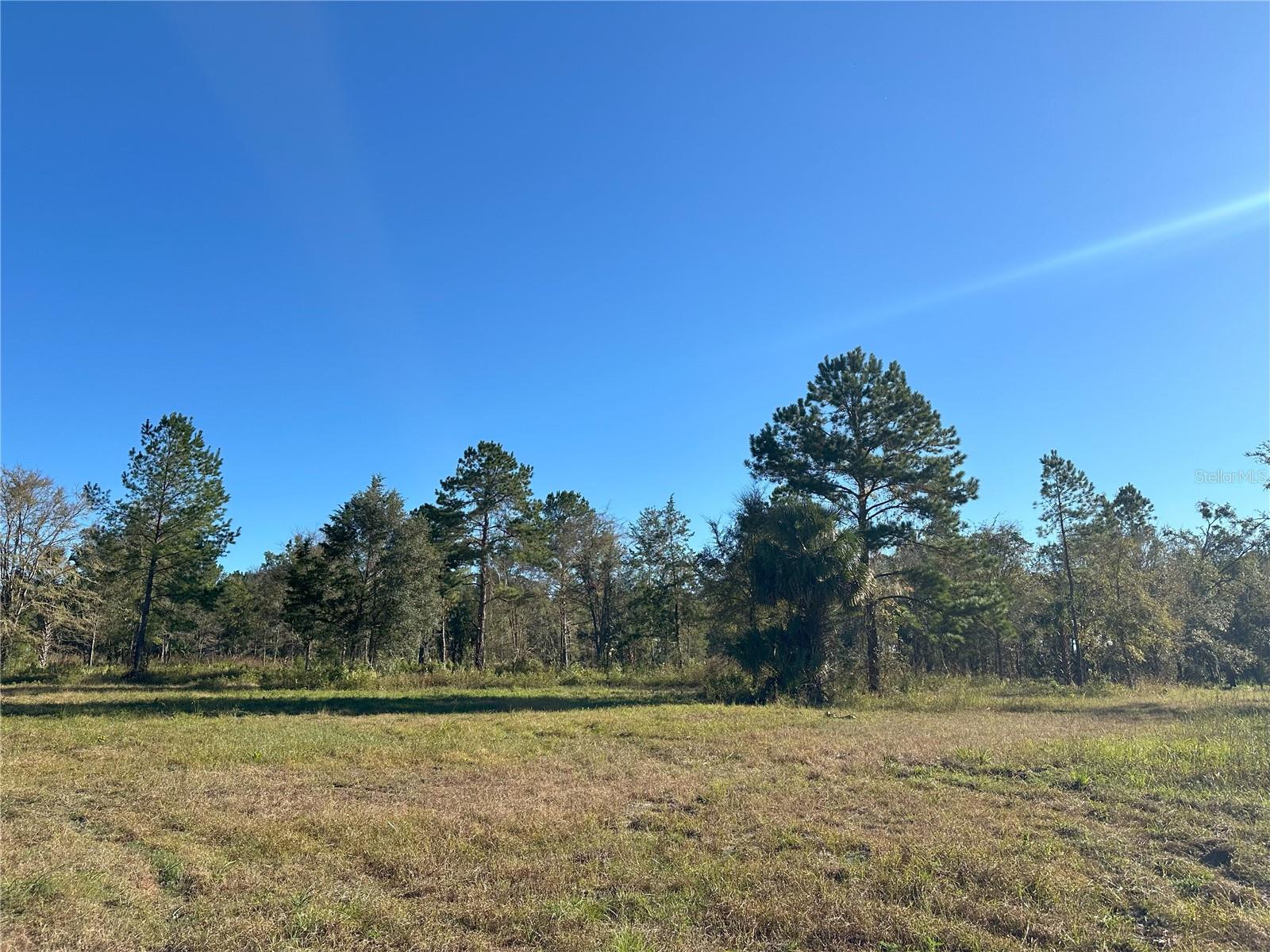 225ac NW 193RD ST, REDDICK, FL, 32686
