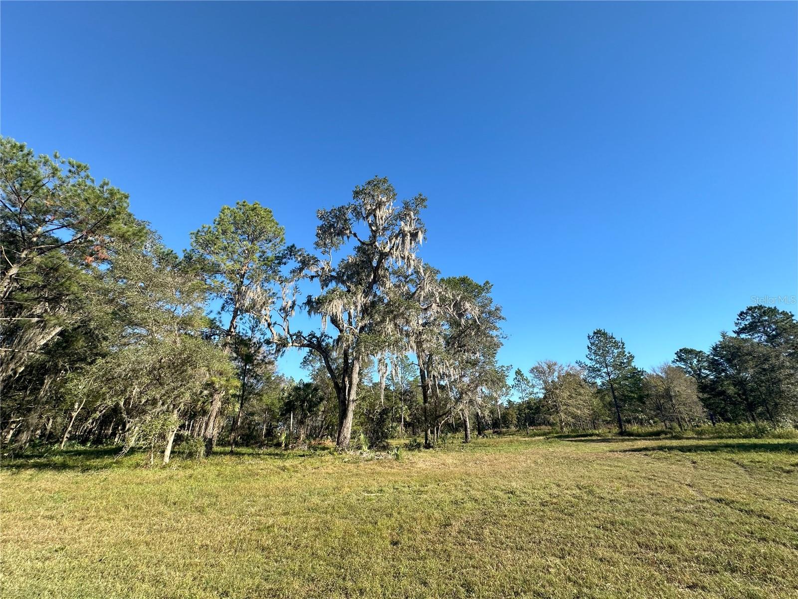 225ac NW 193RD ST, REDDICK, FL, 32686
