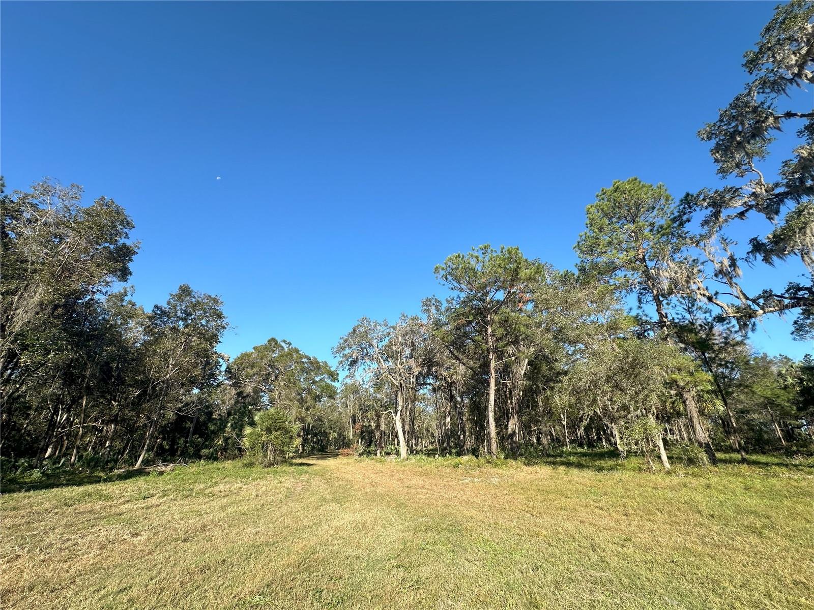 225ac NW 193RD ST, REDDICK, FL, 32686