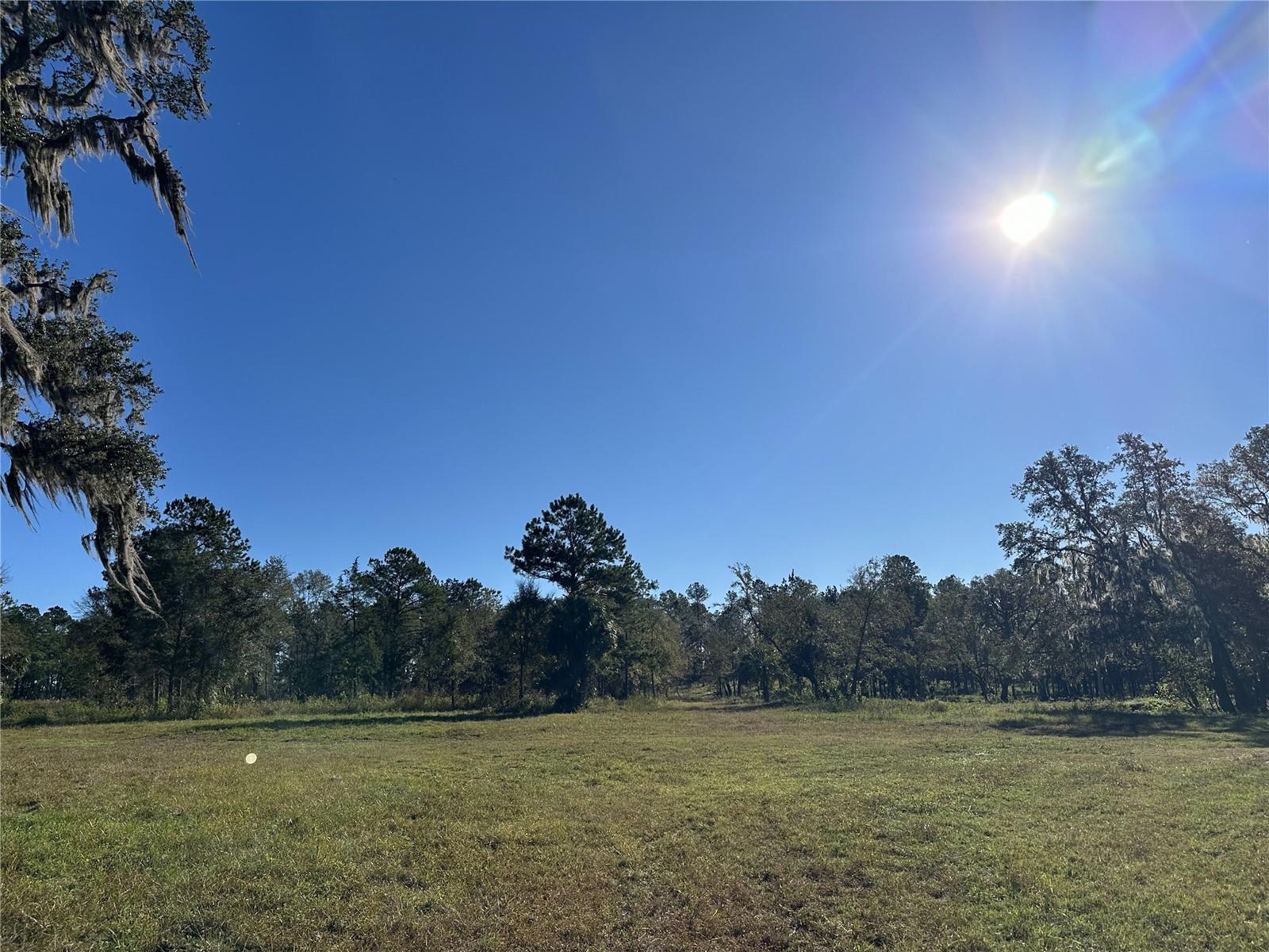 225ac NW 193RD ST, REDDICK, FL, 32686
