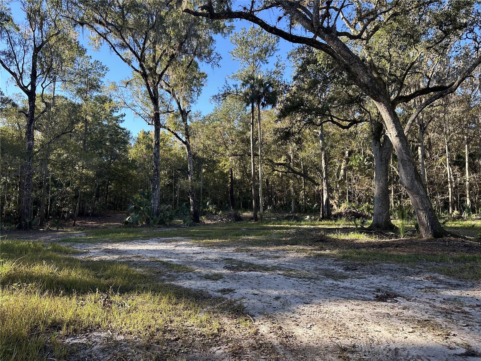 225ac NW 193RD ST, REDDICK, FL, 32686