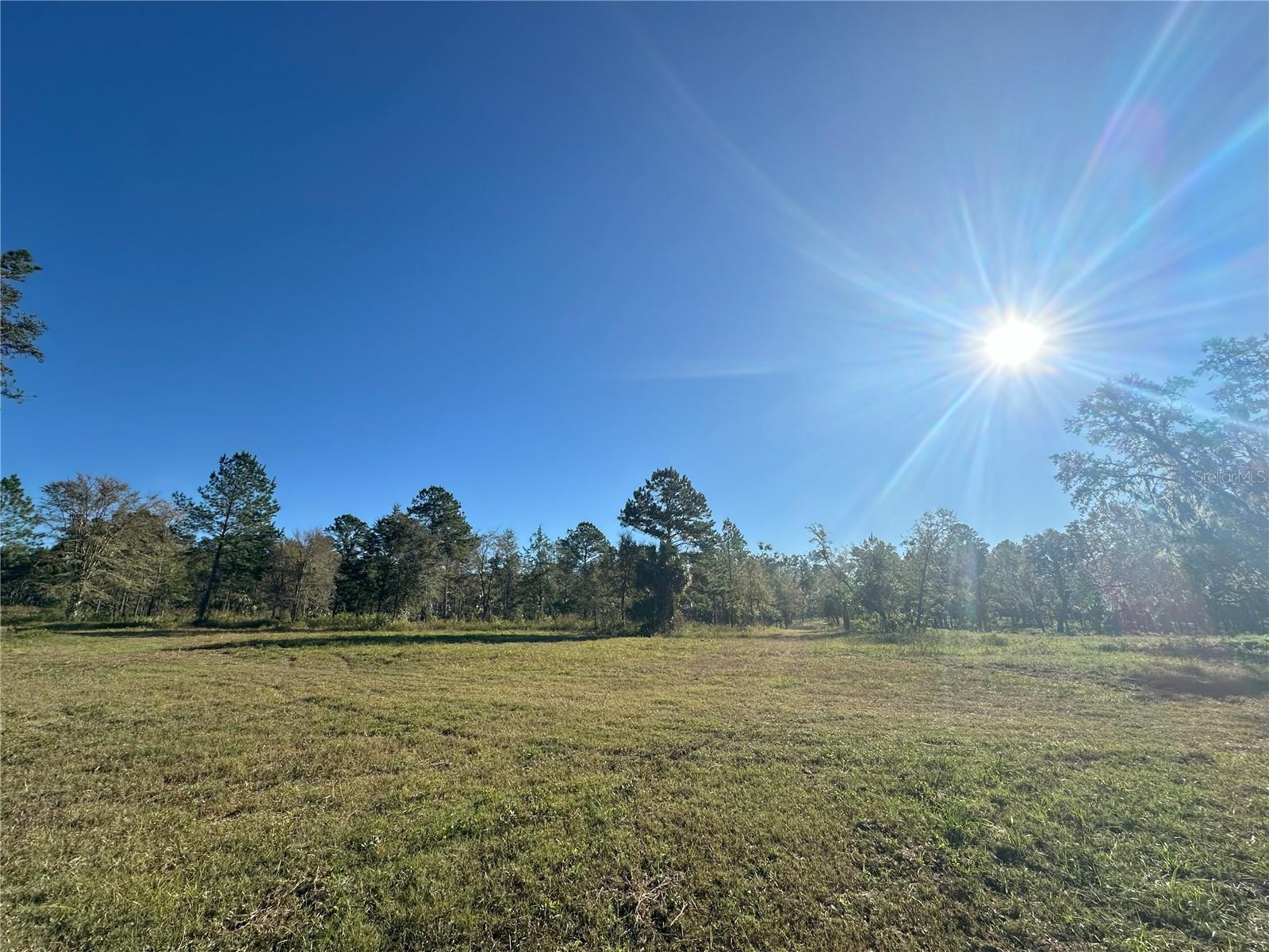 225ac NW 193RD ST, REDDICK, FL, 32686