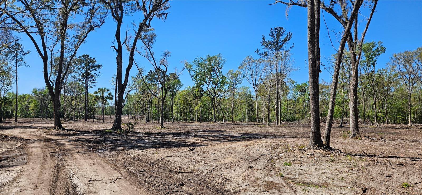 125ac NW 193RD ST, MICANOPY, FL, 32667