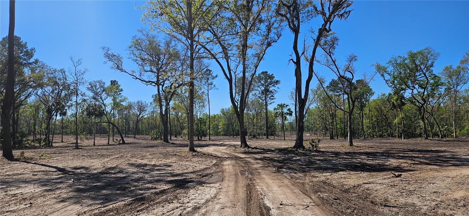 125ac NW 193RD ST, MICANOPY, FL, 32667