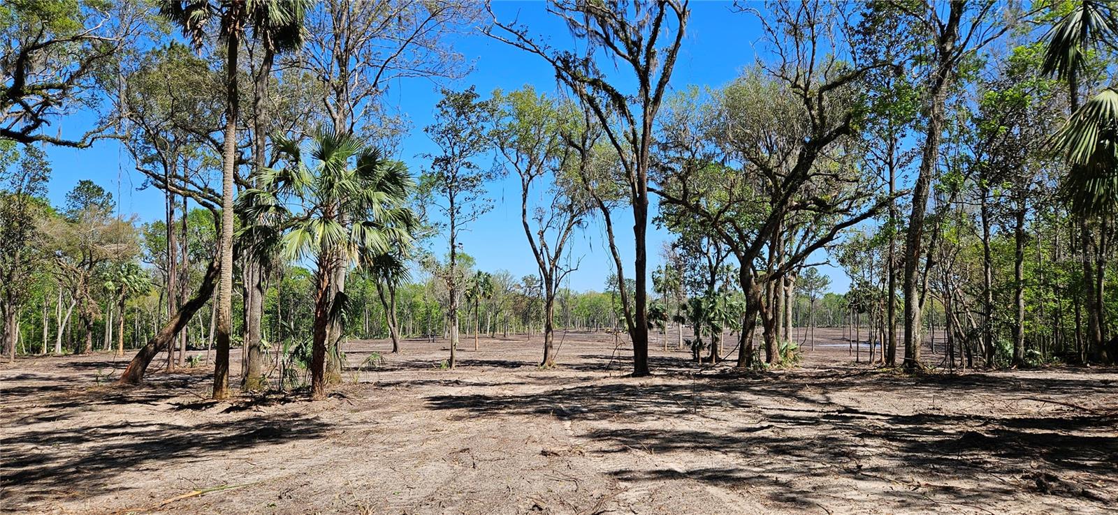 125ac NW 193RD ST, MICANOPY, FL, 32667