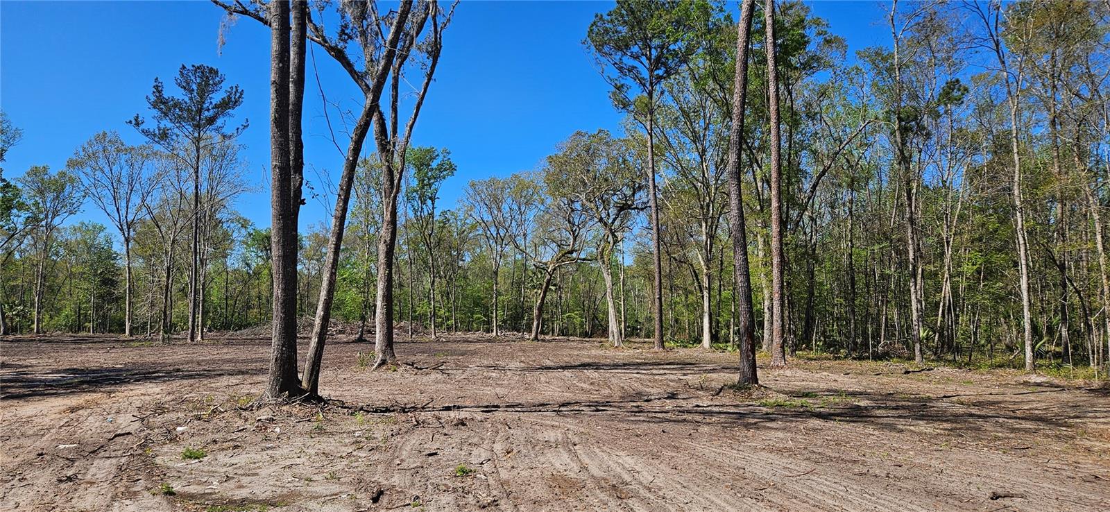 125ac NW 193RD ST, MICANOPY, FL, 32667