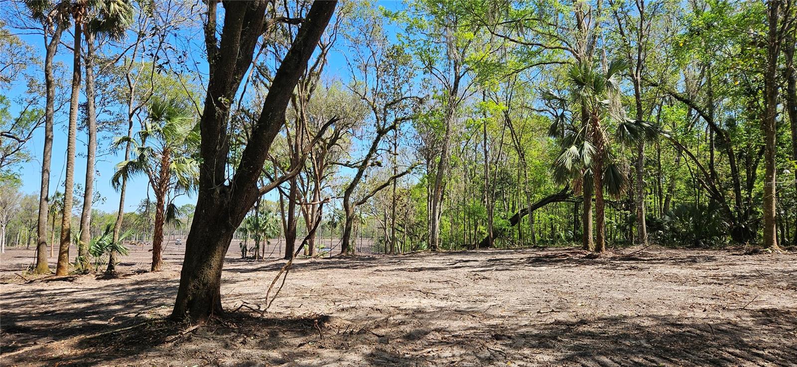 125ac NW 193RD ST, MICANOPY, FL, 32667