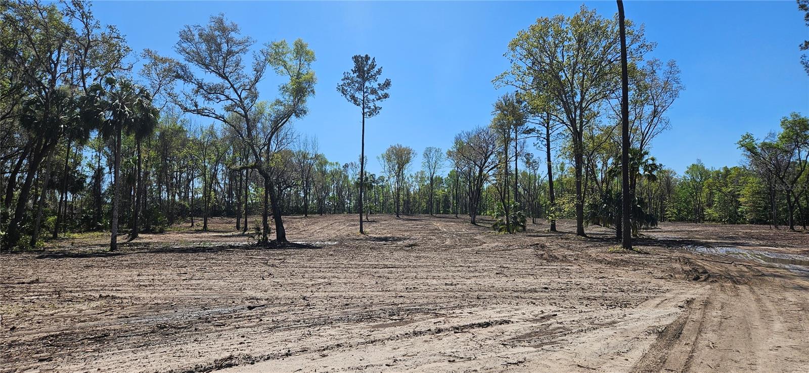 128ac NW 193RD ST, MICANOPY, FL, 32667