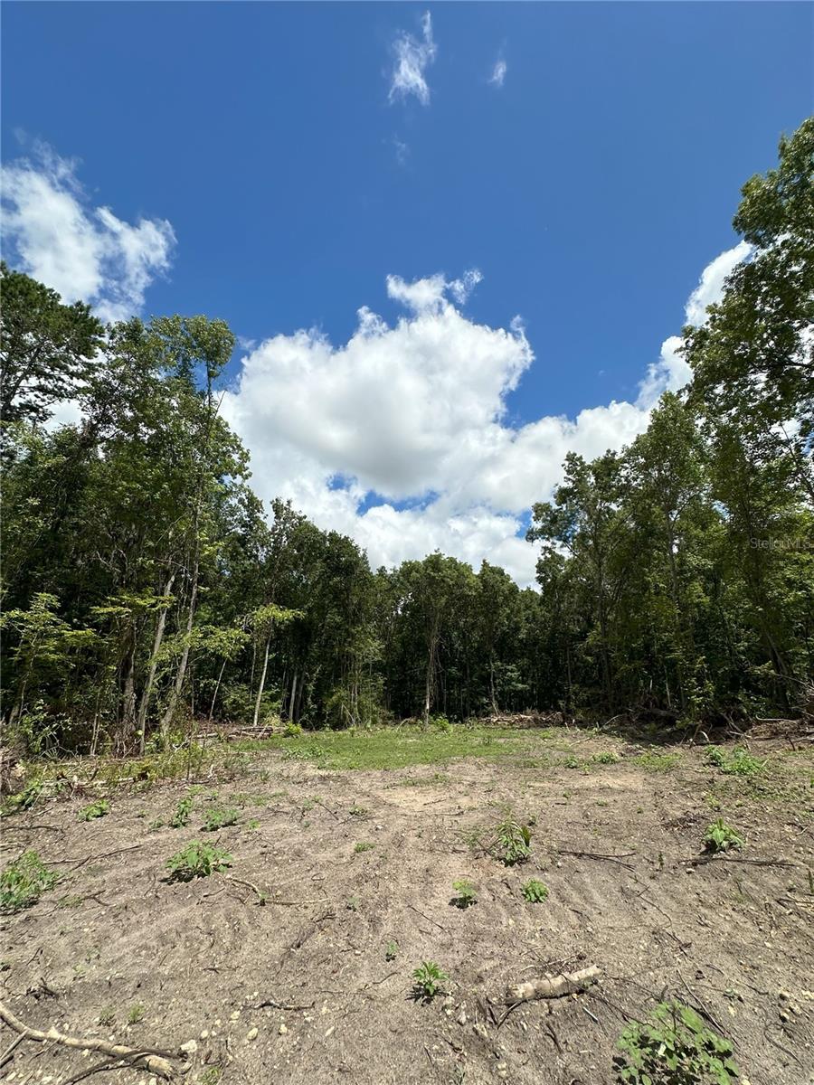 159ac W HWY 318, REDDICK, FL, 32686