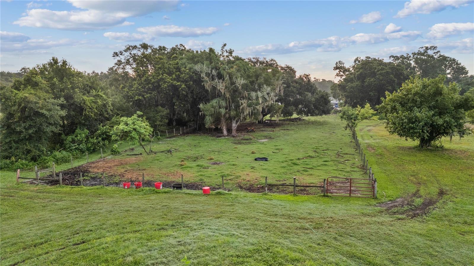 205 DENNISON RD, LUTZ, FL, 33548