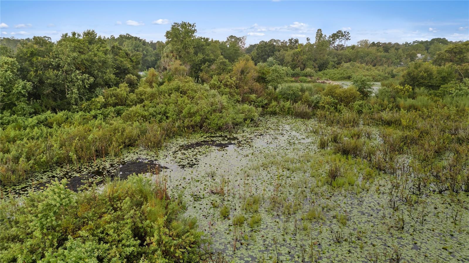 205 DENNISON RD, LUTZ, FL, 33548
