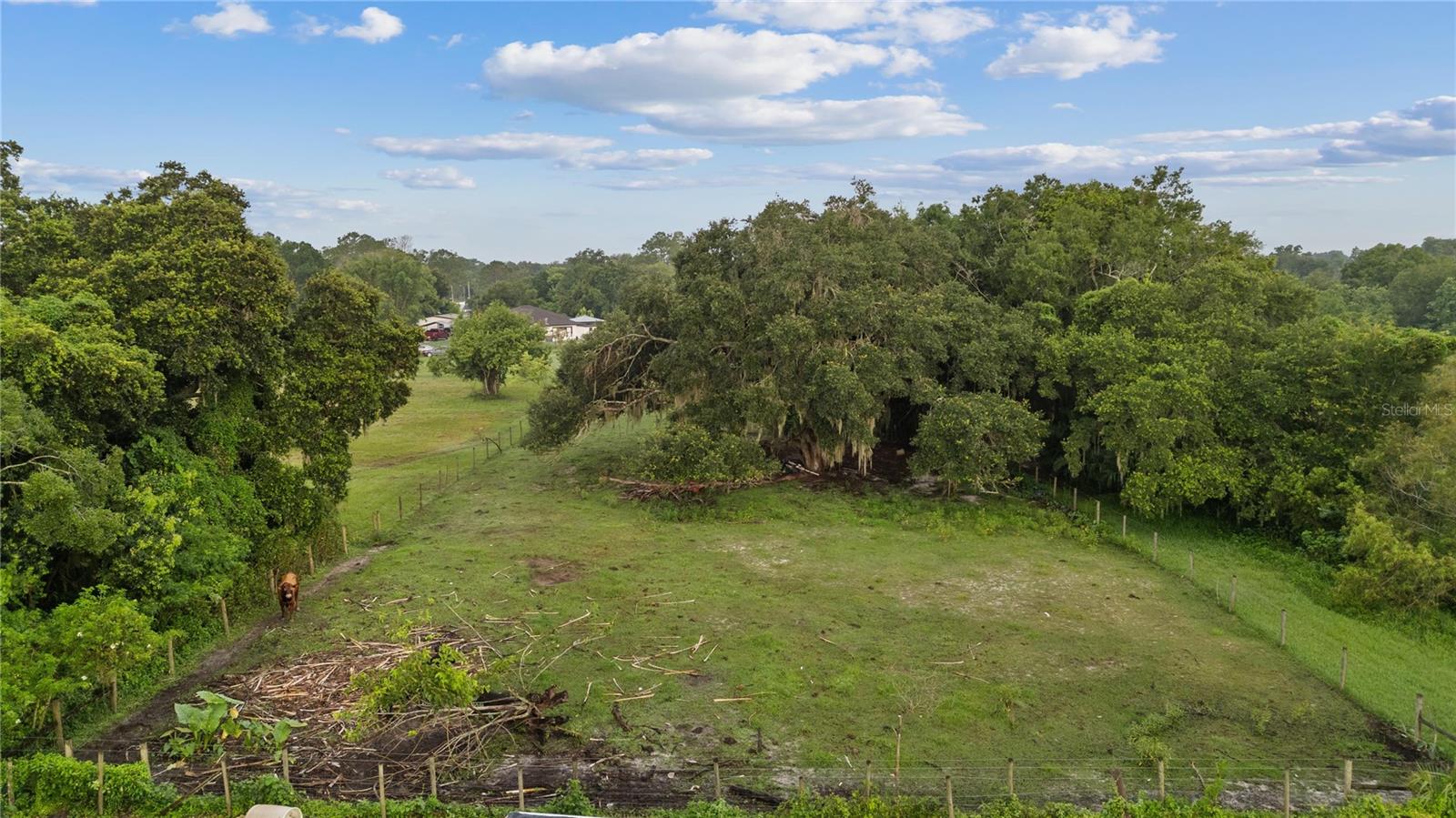 205 DENNISON RD, LUTZ, FL, 33548