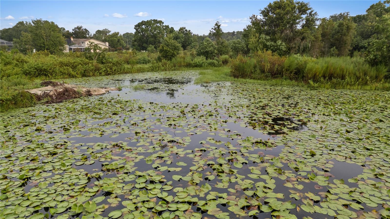 205 DENNISON RD, LUTZ, FL, 33548