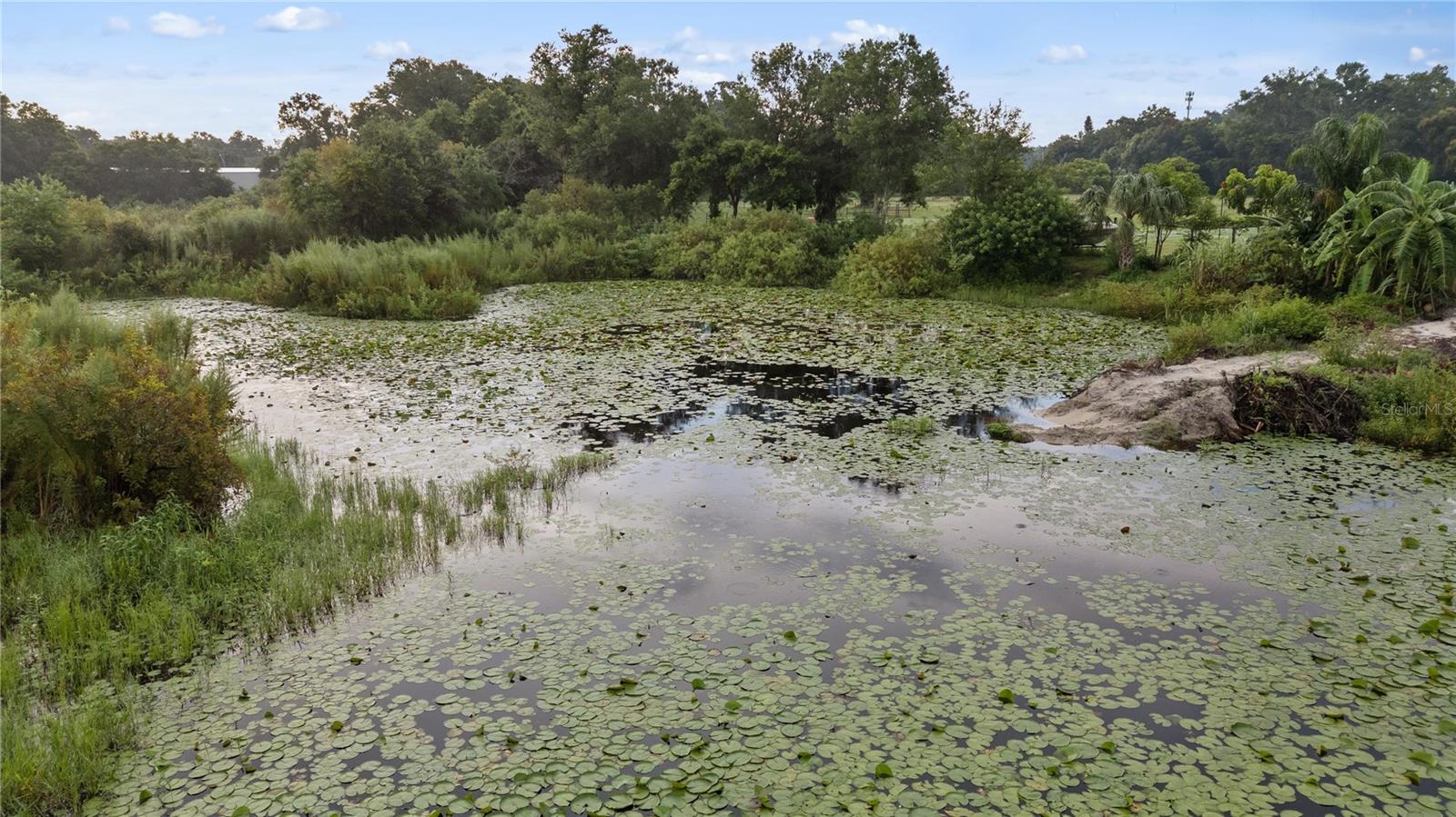 205 DENNISON RD, LUTZ, FL, 33548