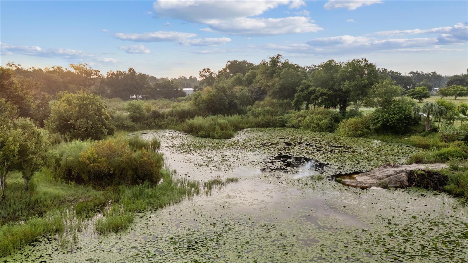 205 DENNISON RD, LUTZ, FL, 33548