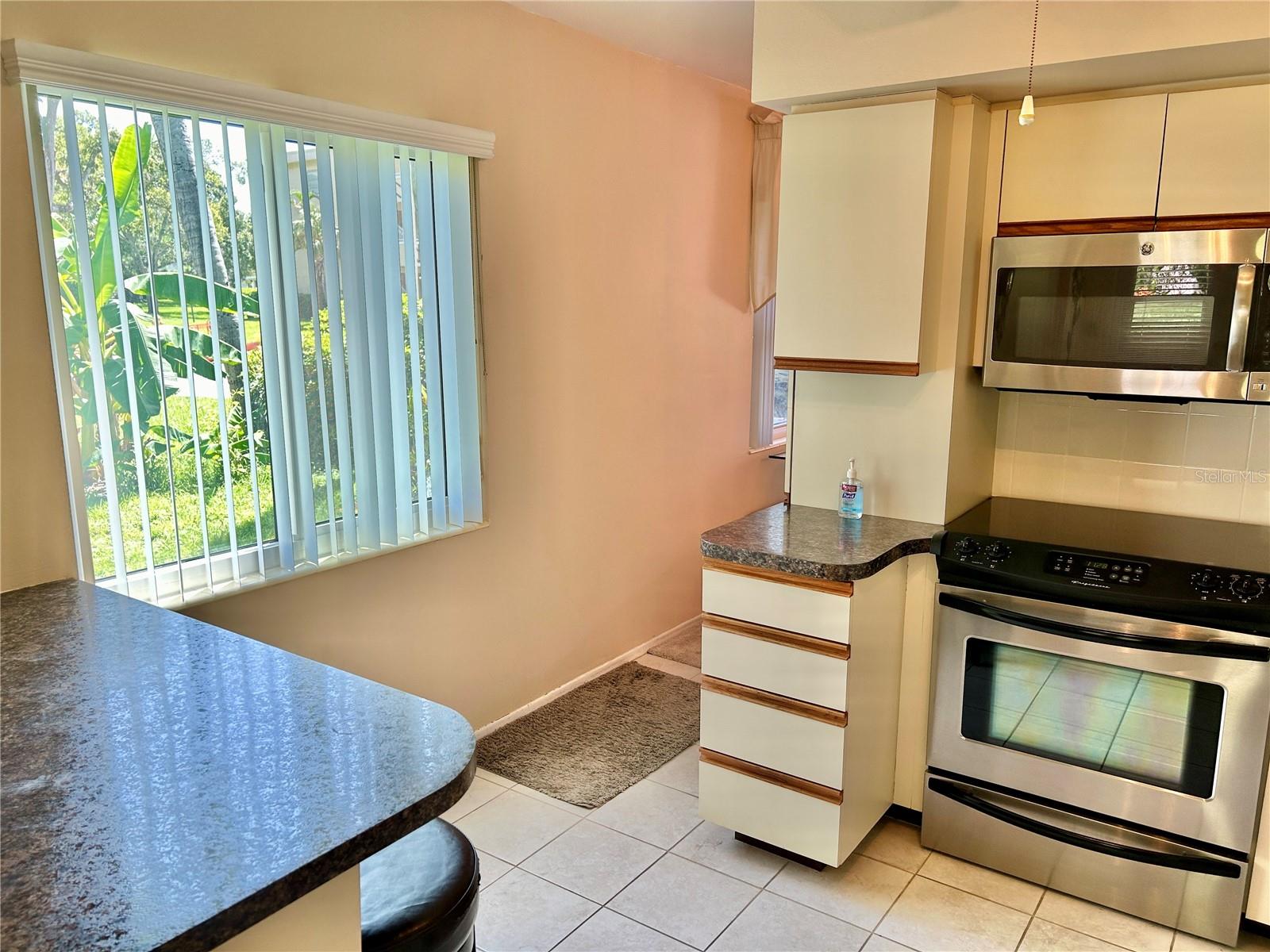 2042 AUSTRALIA WAY W #28, CLEARWATER, FL, 33763