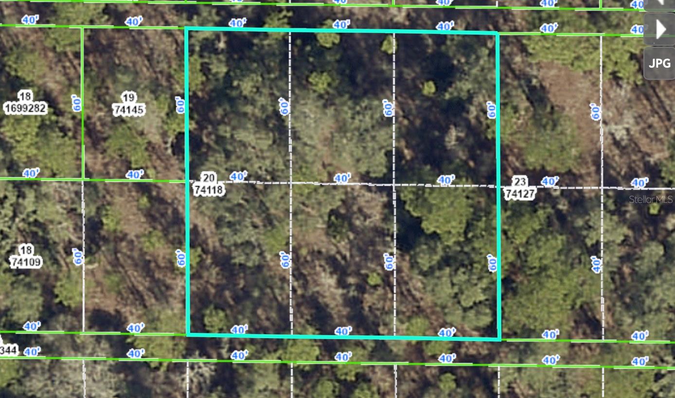 ROCK DUCK AVE, BROOKSVILLE, FL, 34614
