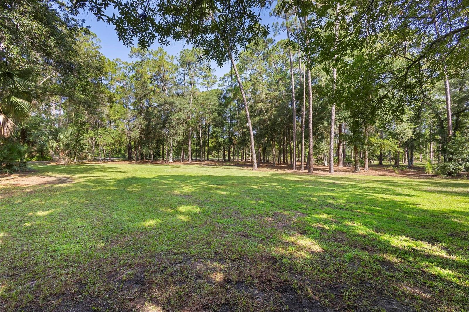 1205 SUTTON TRL, GENEVA, FL, 32732