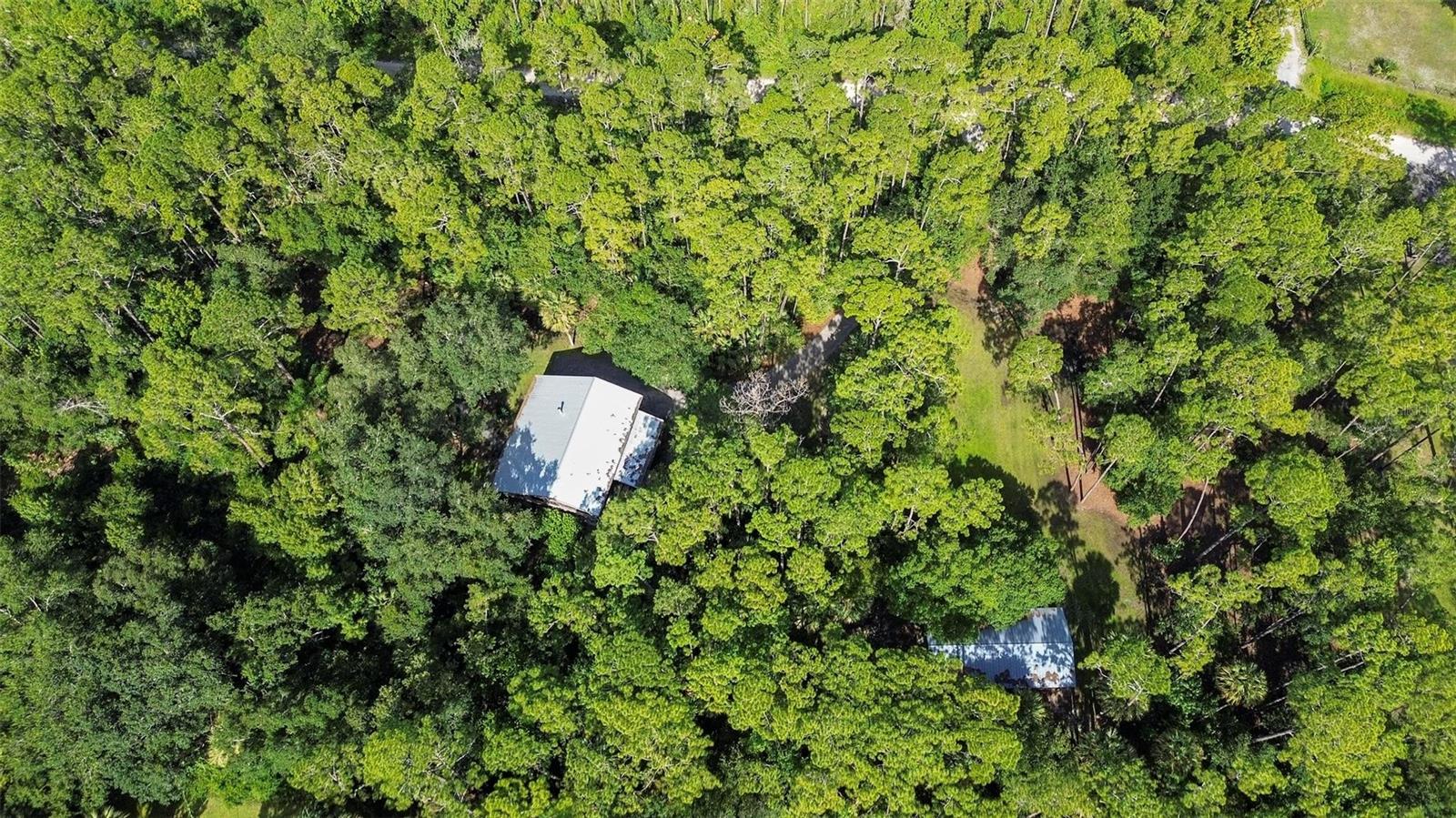 1205 SUTTON TRL, GENEVA, FL, 32732