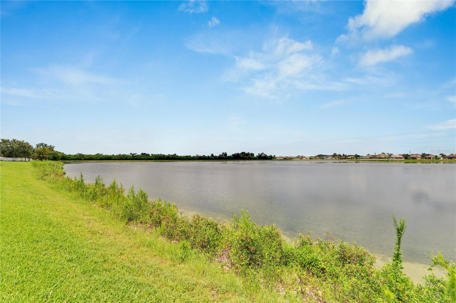 907 SEMINOLE SKY DR, RUSKIN, FL, 33570