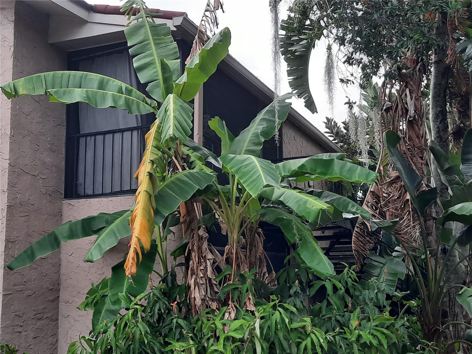 1151 PASEO DEL SOL #C, CASSELBERRY, FL, 32707