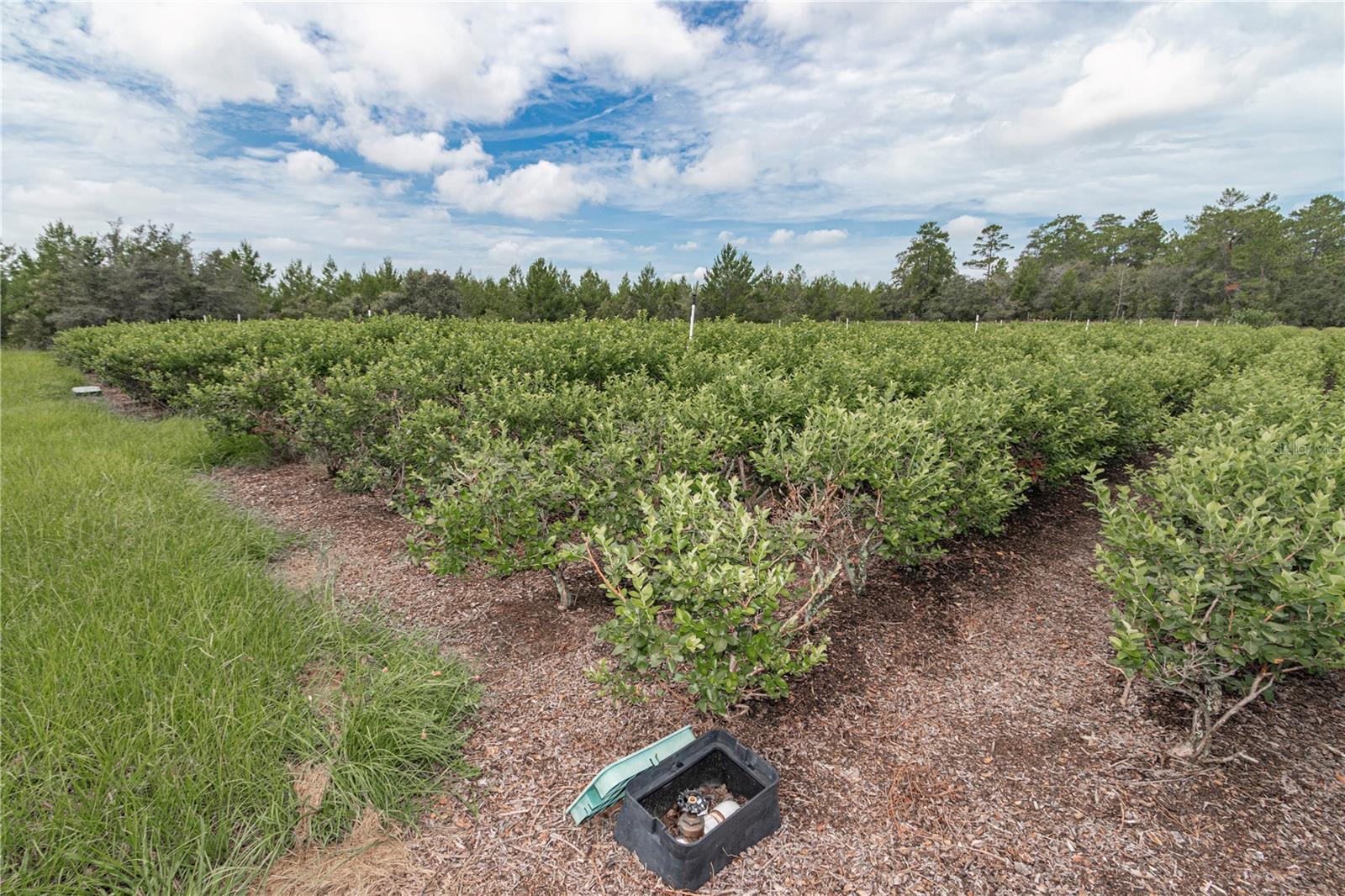 5728 W DUNKLIN ST, DUNNELLON, FL, 34433