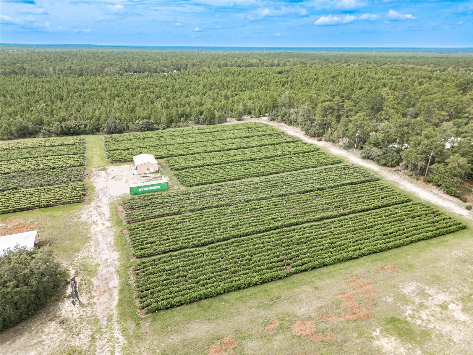 5728 W DUNKLIN ST, DUNNELLON, FL, 34433