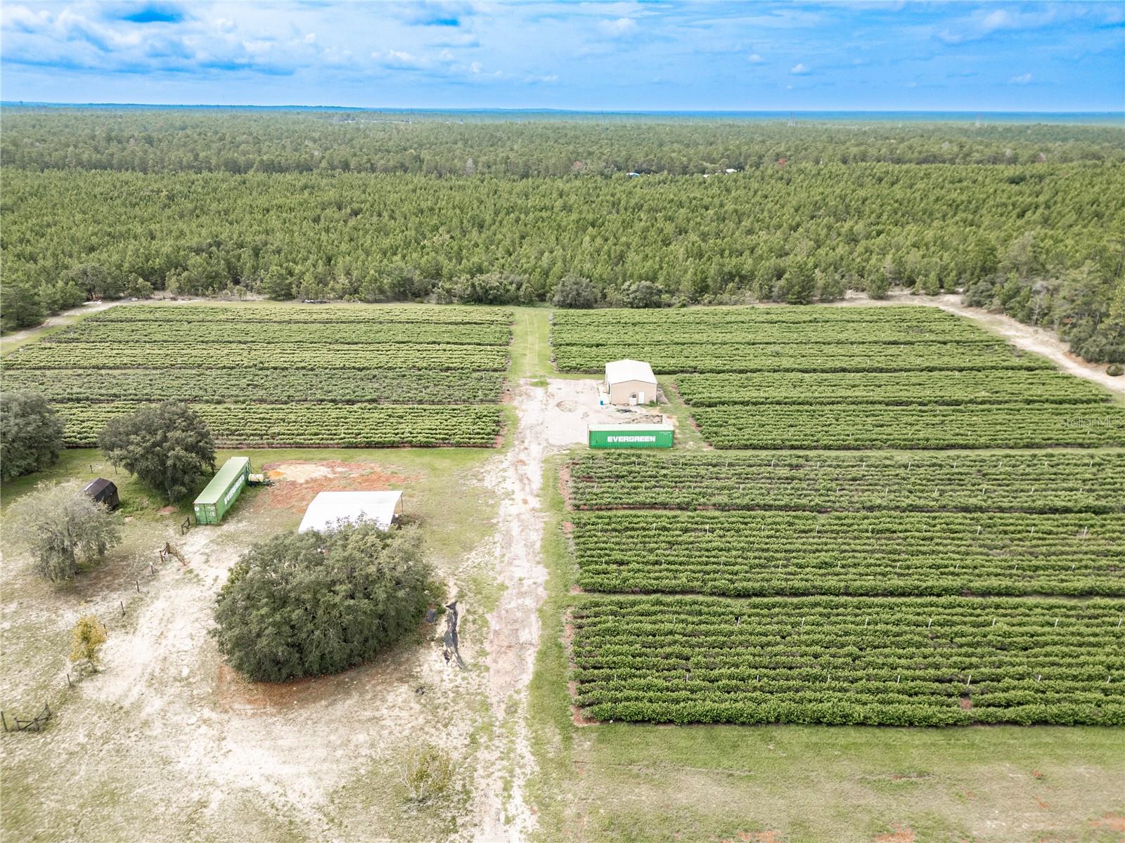 5728 W DUNKLIN ST, DUNNELLON, FL, 34433