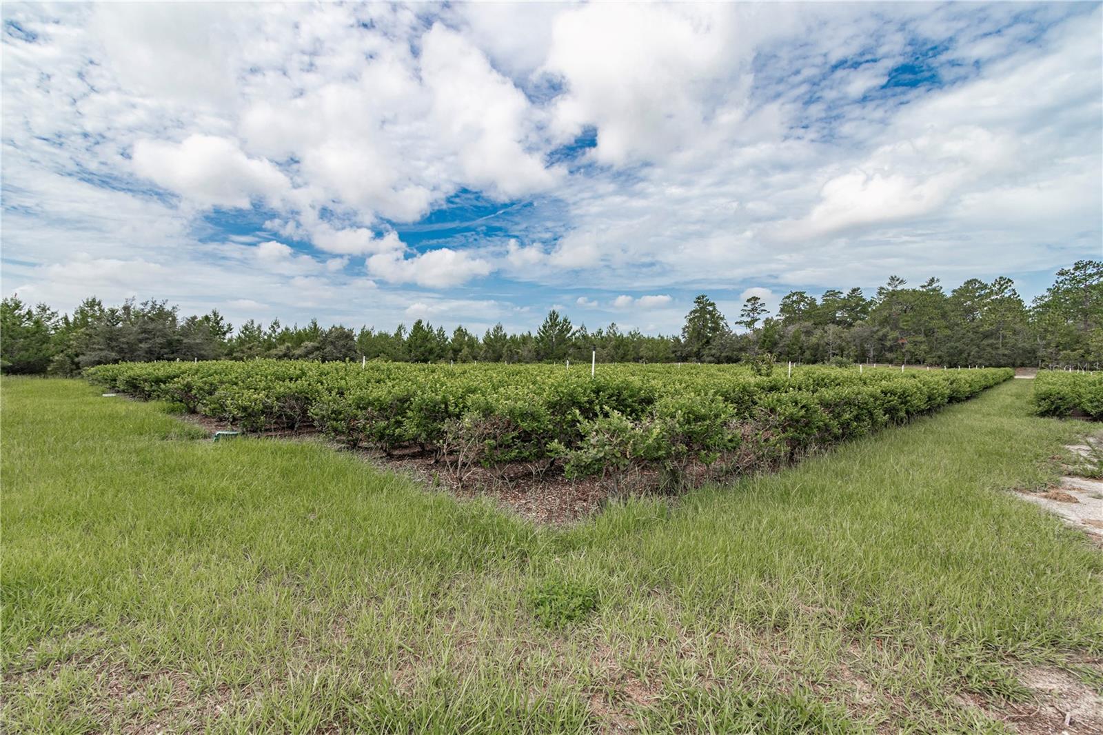 5728 W DUNKLIN ST, DUNNELLON, FL, 34433