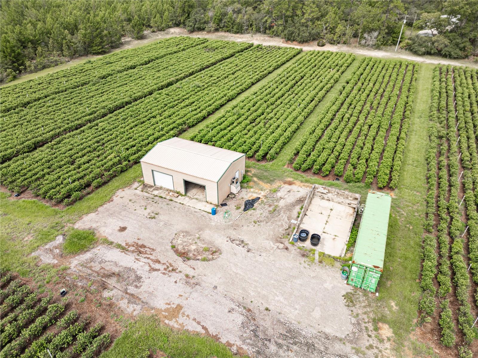 5728 W DUNKLIN ST, DUNNELLON, FL, 34433