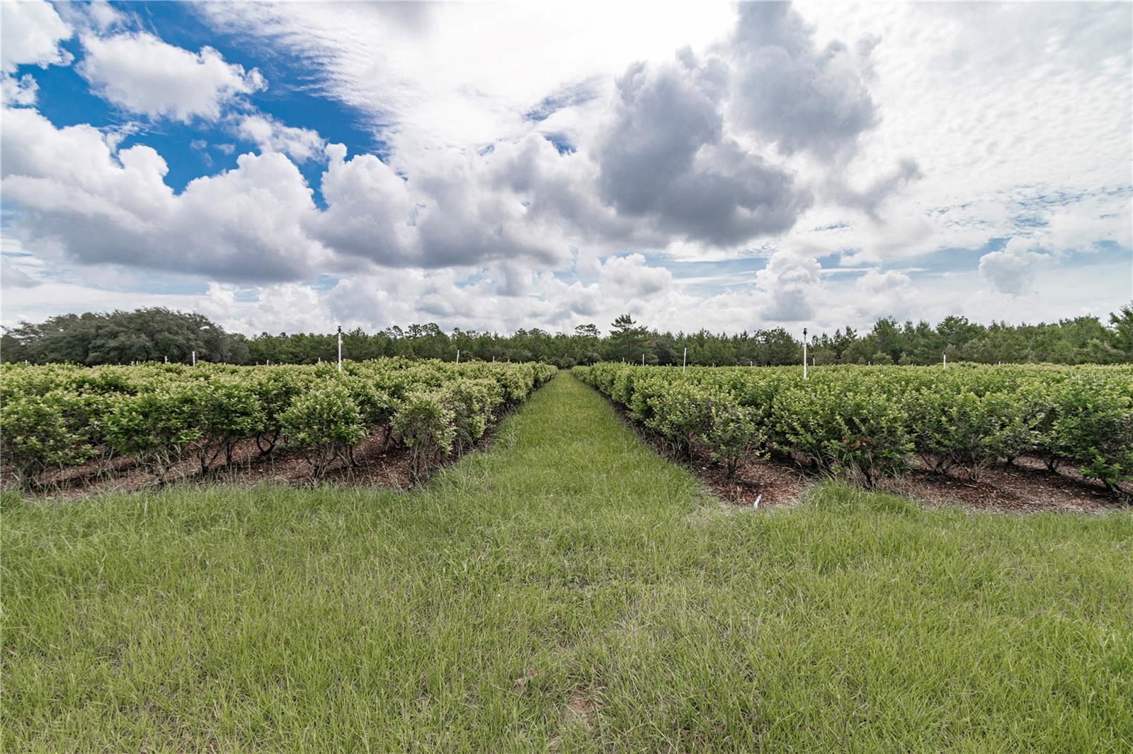 5728 W DUNKLIN ST, DUNNELLON, FL, 34433