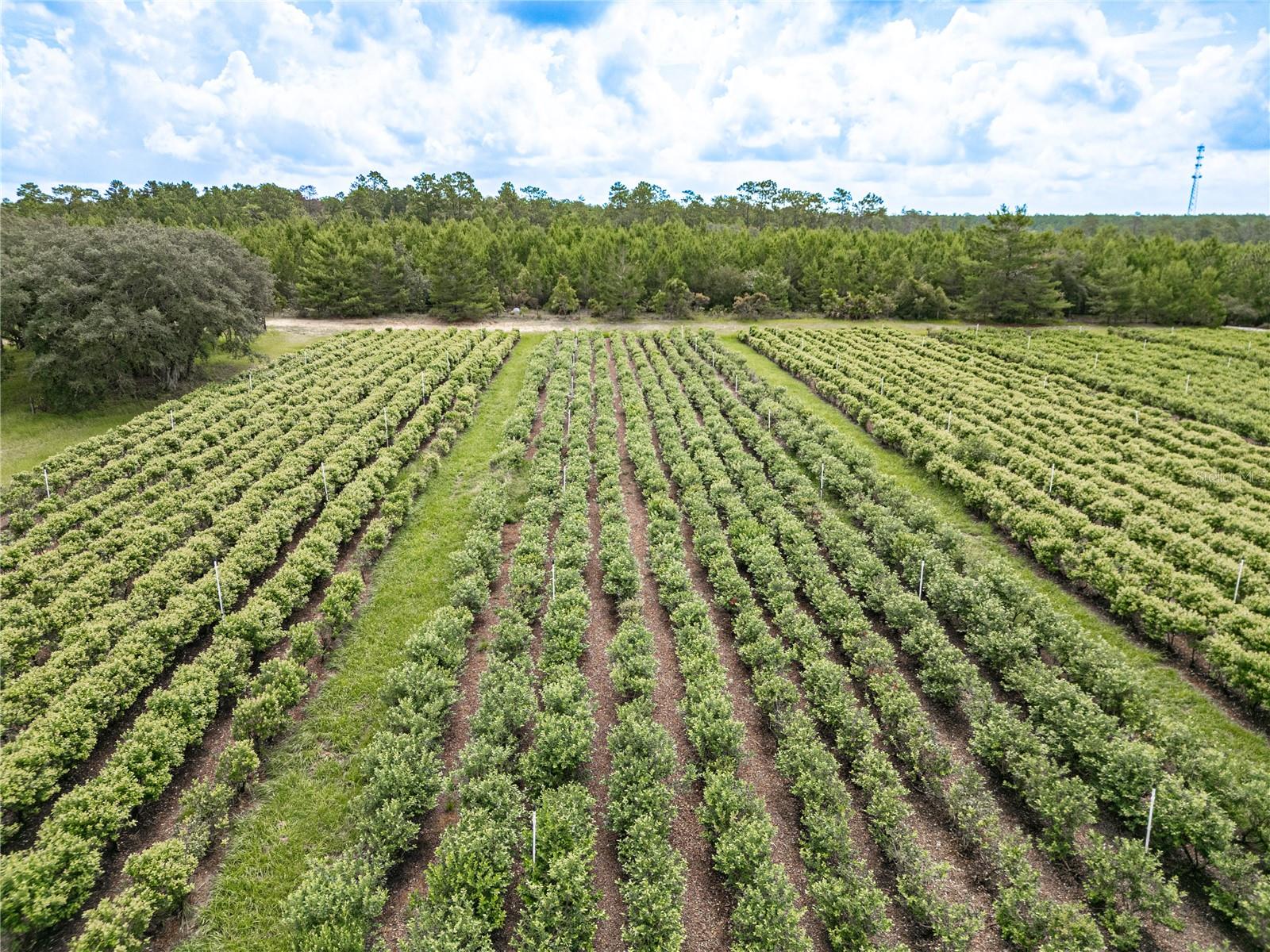 5728 W DUNKLIN ST, DUNNELLON, FL, 34433