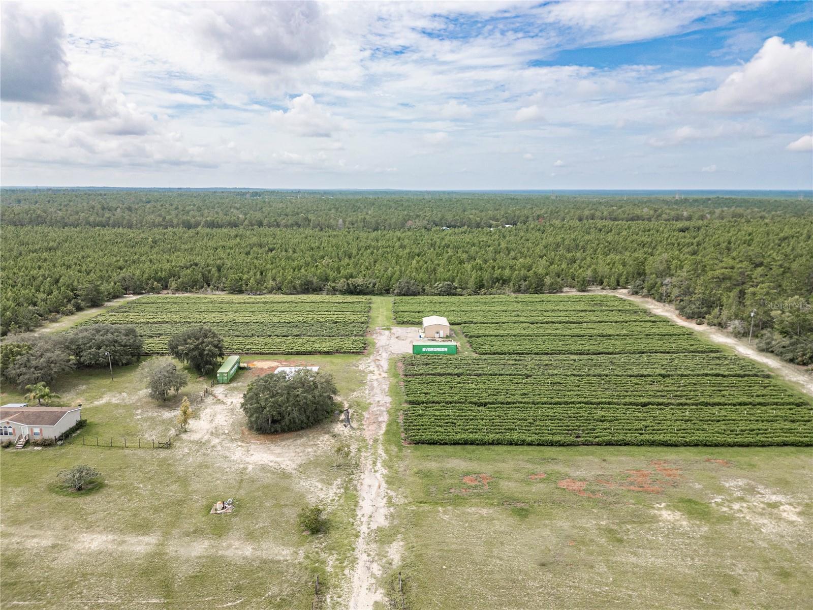 5728 W DUNKLIN ST, DUNNELLON, FL, 34433