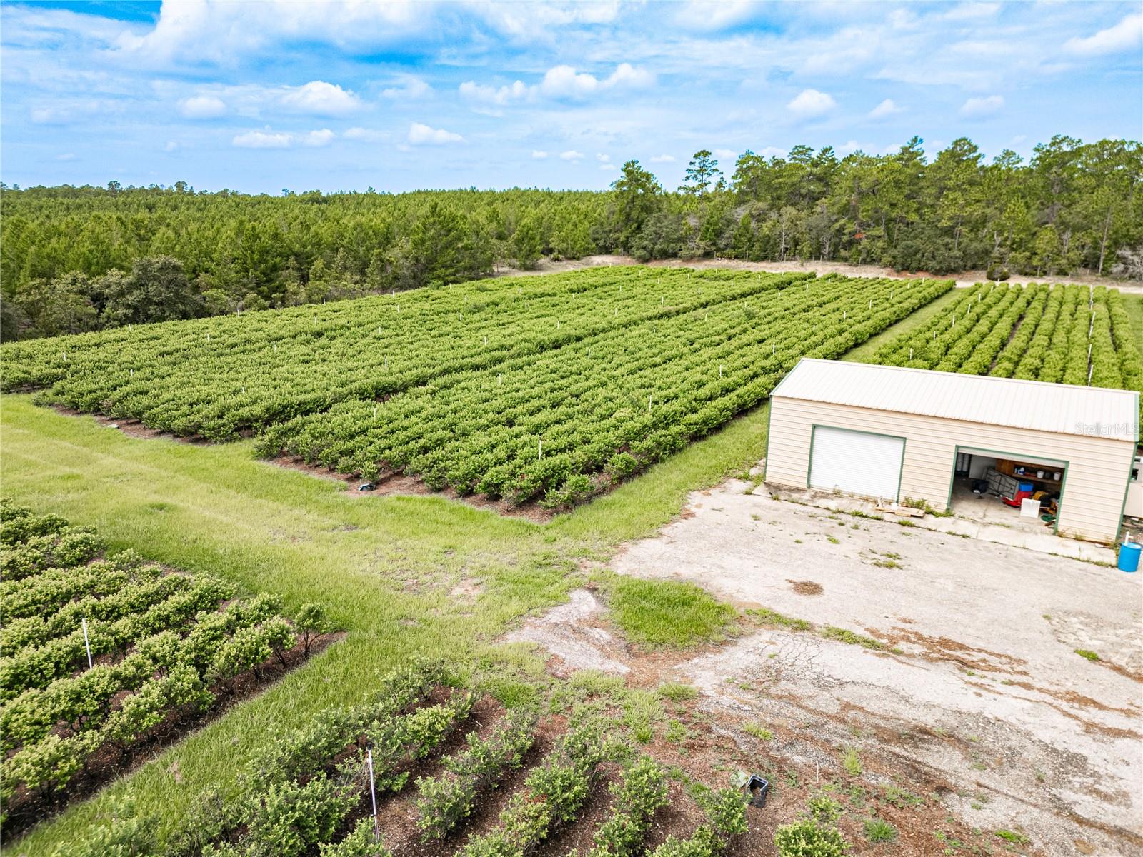 5728 W DUNKLIN ST, DUNNELLON, FL, 34433