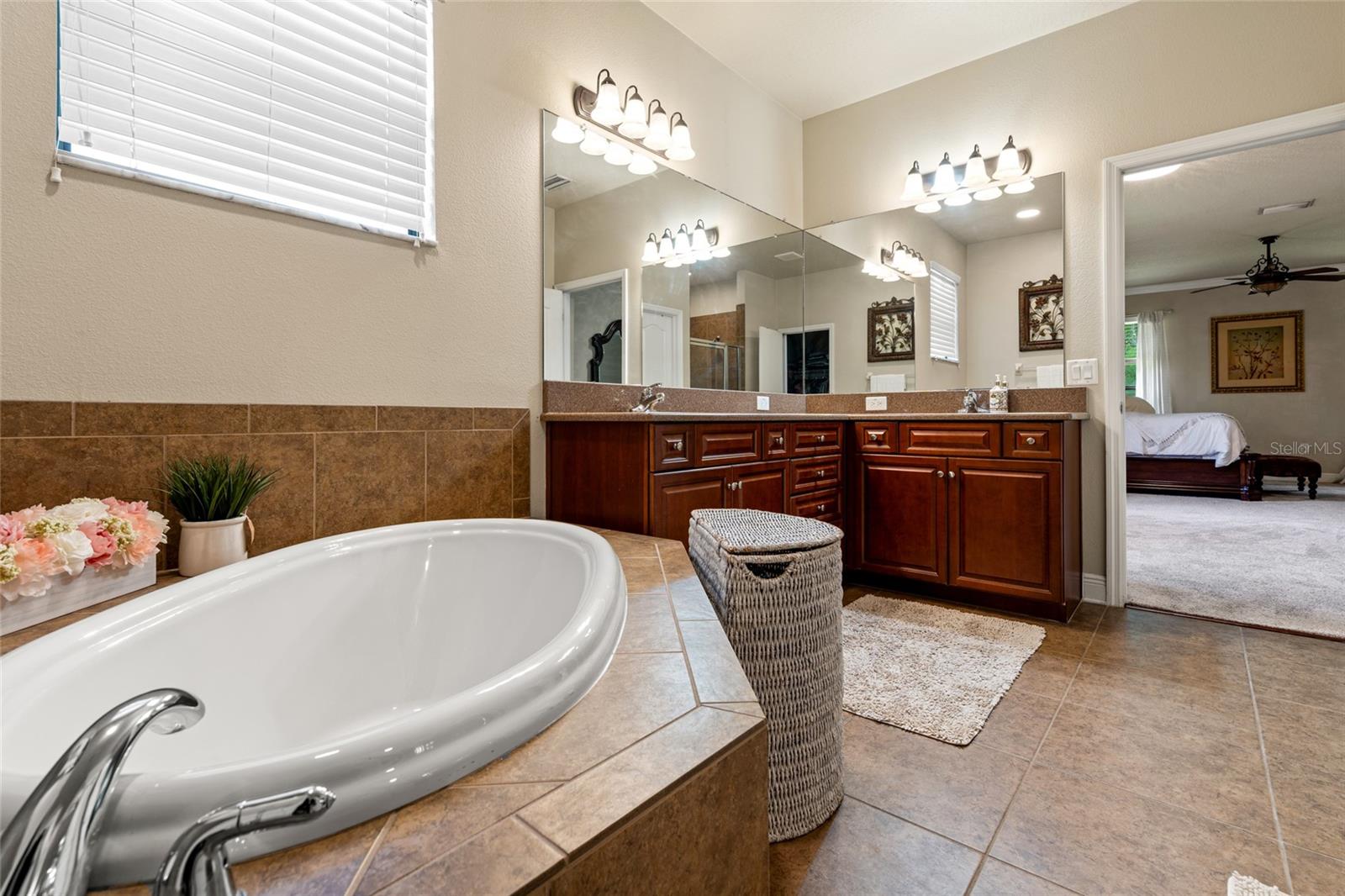 15407 AZRA DR, ODESSA, FL, 33556