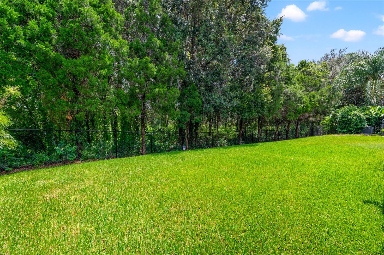 15407 AZRA DR, ODESSA, FL, 33556