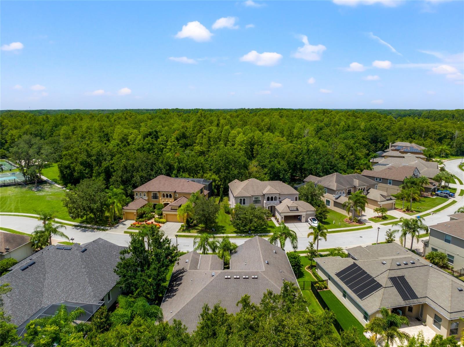 15407 AZRA DR, ODESSA, FL, 33556