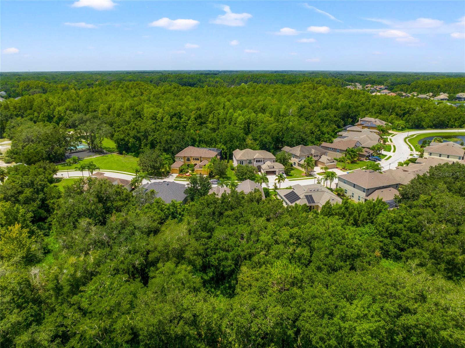 15407 AZRA DR, ODESSA, FL, 33556