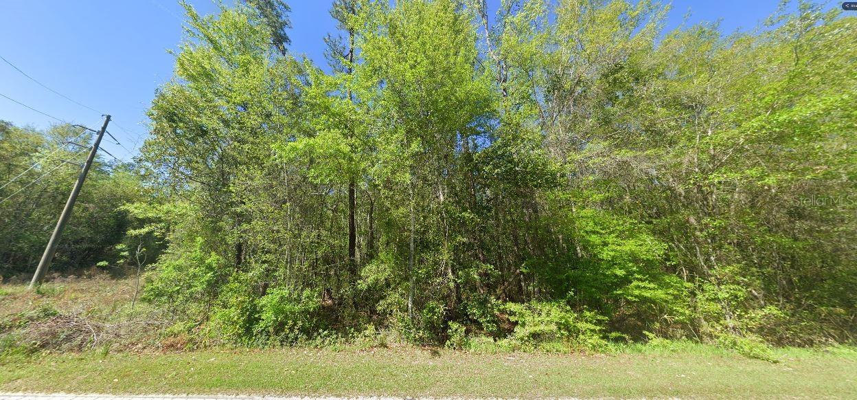 100 W STATE LINE RD, CENTURY, FL, 32535